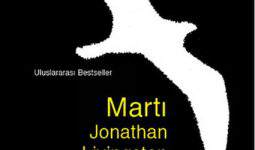 Martı Kitabının Soru ve Cevapları