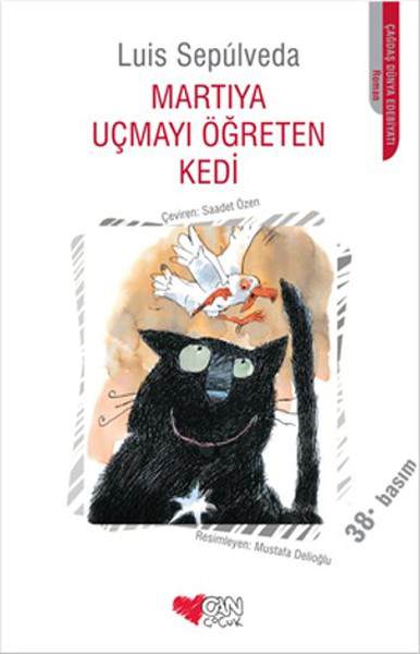 Martıya Uçmayı Öğreten Kedi Kitap Soruları