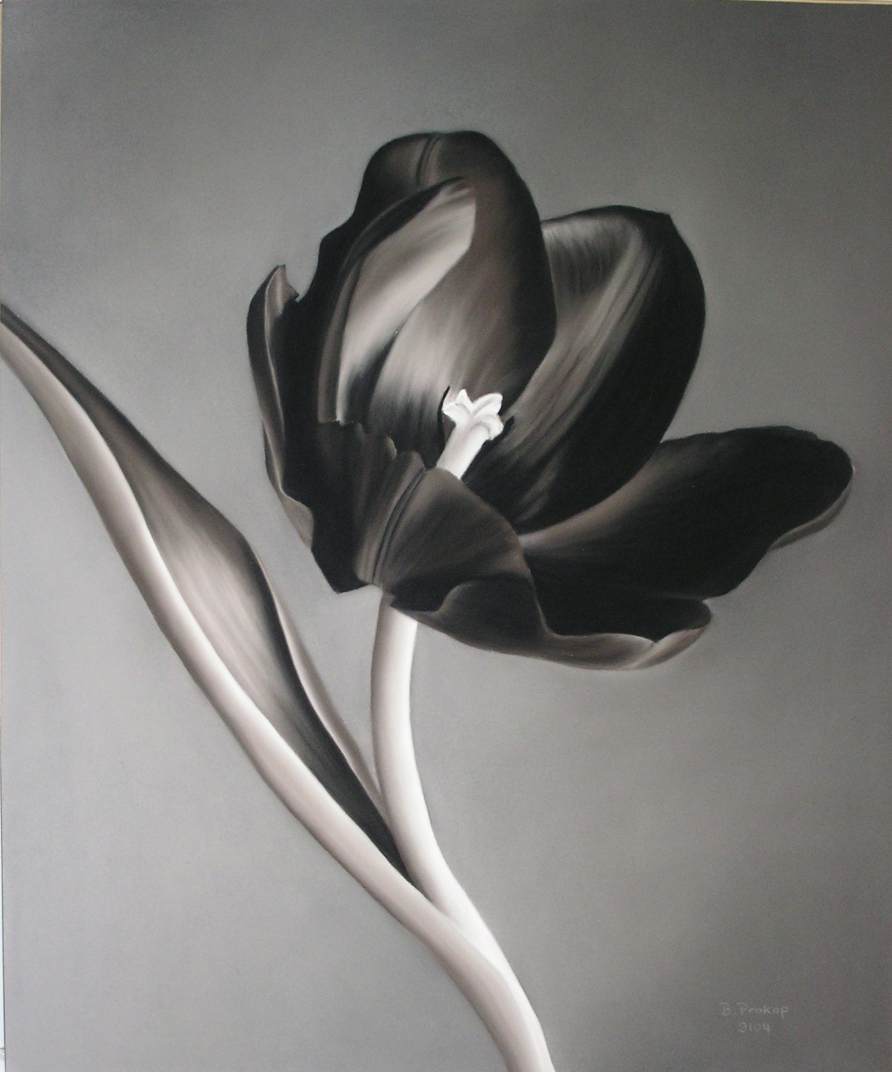 Siyah Lale Kitap Soruları ve Cevapları