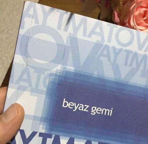 Beyaz Gemi Romanı Kitap Soruları
