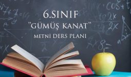 'Gümüş Kanat' Metni Günlük plan 6.Sınıf