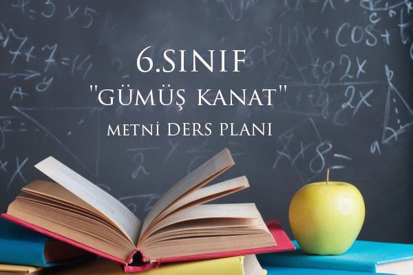 'Gümüş Kanat' Metni Günlük plan 6.Sınıf