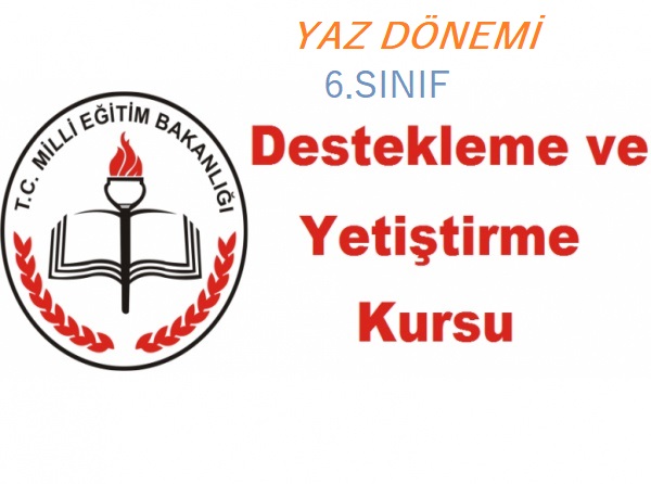 6.Sınıf Türkçe Yaz Dönemi DYK Planı-2019