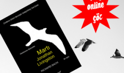 Martı Jonathan Livingston Kitap Görseli
