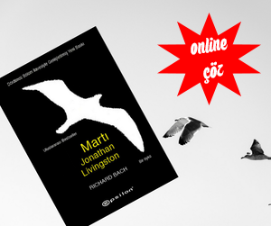 Martı Jonathan Livingston Kitabı Çevrim İçi (Online) Test Çöz