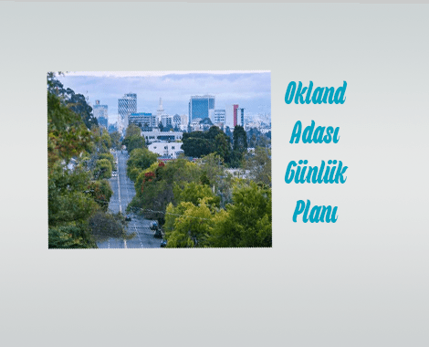 Okland Adası Ders Planı