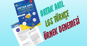 Türkçe Ortak Akıl LGS Deneme Örneği Kapak