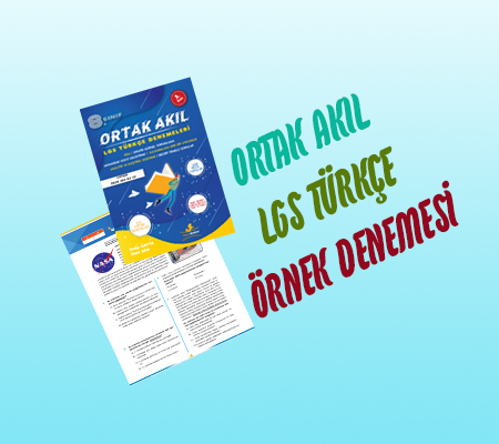 2019 – 2020 Türkçe Dersi Ortak Akıl LGS Denemesi Örneği