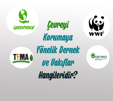 Çevreyi Korumaya Yönelik Dernek ve Vakıflar Hangileridir?