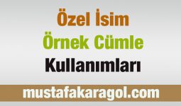 Özel İsim Örnek