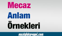 Mecaz Anlam Örnek Cümleleri