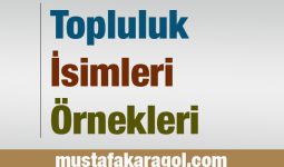 Topluluk İsmi Örnek Cümle