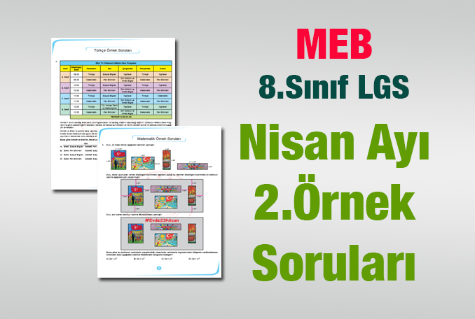 MEB Nisan Ayı LGS 2.Örnek Soruları
